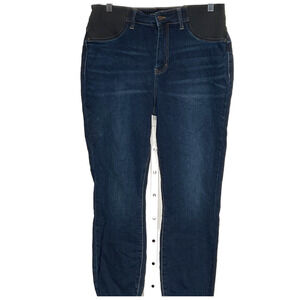 Judy Blue Jegging in Blue, Size 16W Maternity